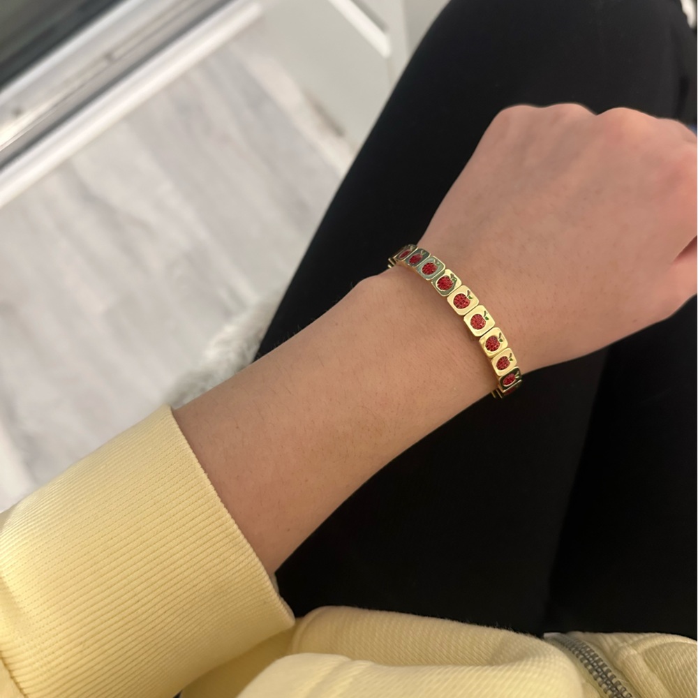 Lisa Gozlan Apple Bracelet 7”. Basically brand new!